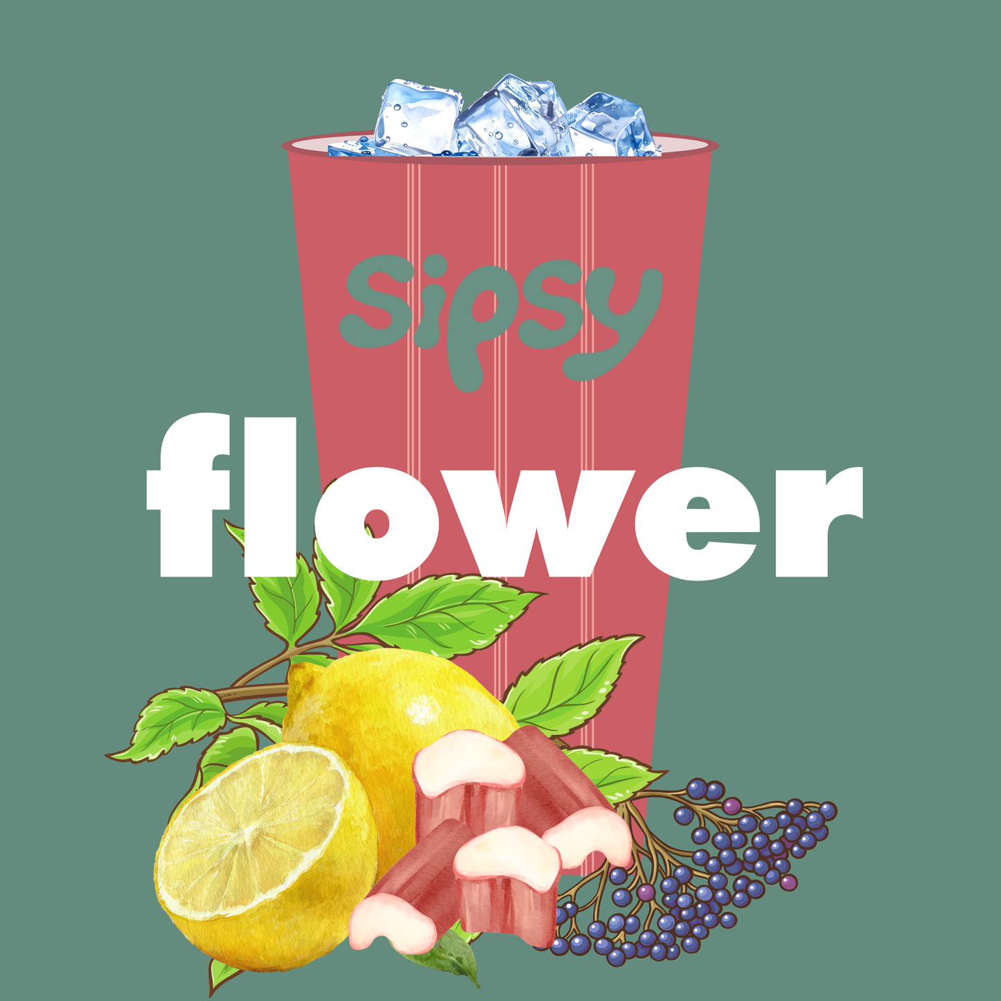 50x sipsy flower